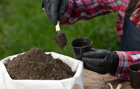 How Soil Testing Helps Farmers Select the Right Organic Inputs