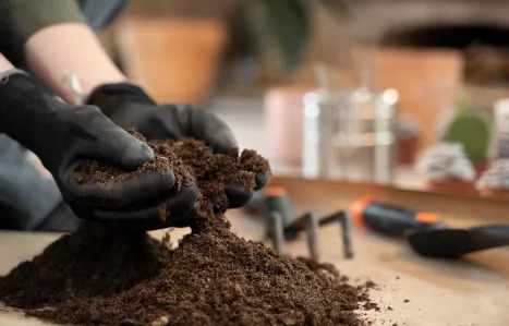 Organic Soil Management Practices for Long-Term Productivity