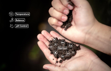 Sustainable farming and moving beyond chemical fertilizers