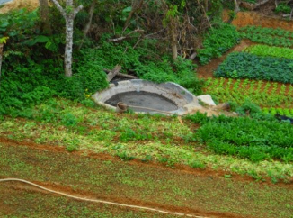 High-angle view of a vegetable garden with crop rows and a circular stone water basin
