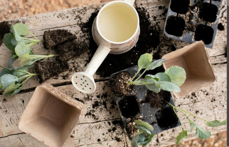 Sustainable farming and moving beyond chemical fertilizers
