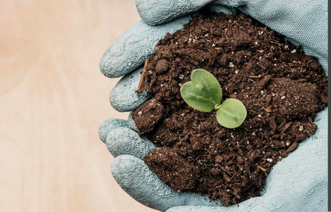 Sustainable farming and moving beyond chemical fertilizers